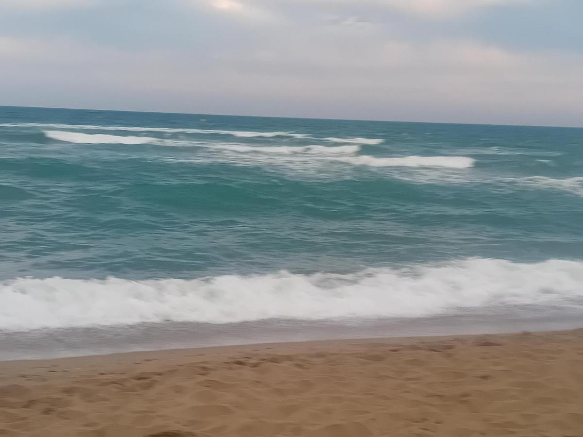 Residence Au Soleil Avec Piscine A 150M De La Plage - Barcares Le Barcarès Екстериор снимка